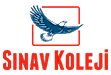 sınav koleji mini logo